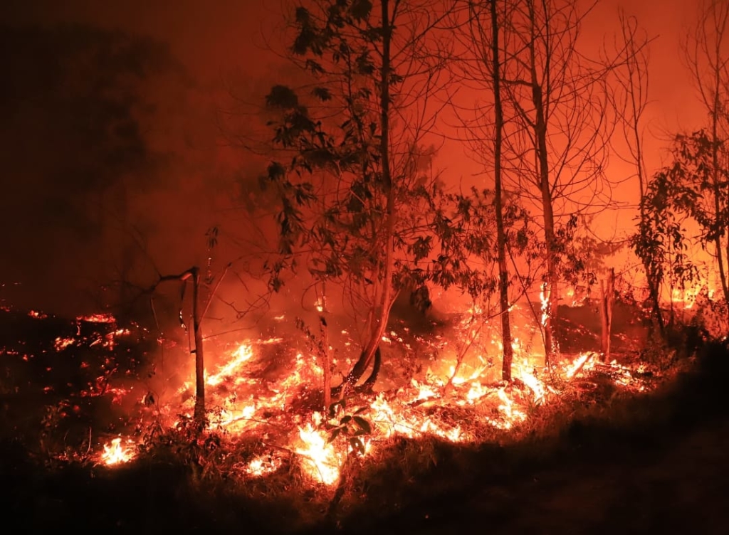 Riau fire the size of Tampines & Bedok was burning this month